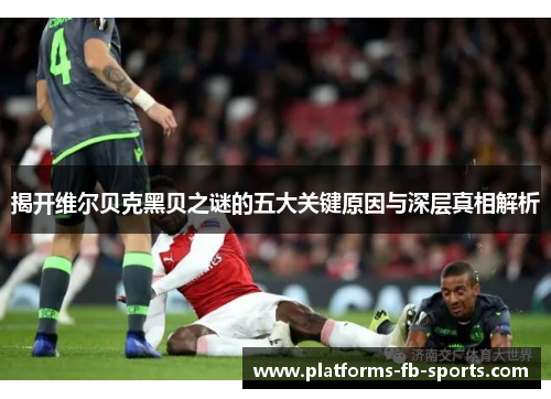 揭开维尔贝克黑贝之谜的五大关键原因与深层真相解析