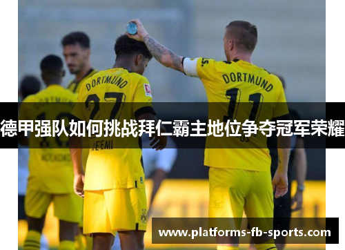 德甲强队如何挑战拜仁霸主地位争夺冠军荣耀