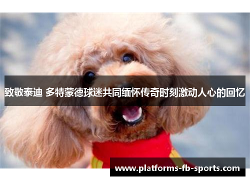 致敬泰迪 多特蒙德球迷共同缅怀传奇时刻激动人心的回忆