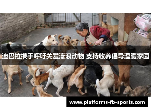 迪巴拉携手呼吁关爱流浪动物 支持收养倡导温暖家园
